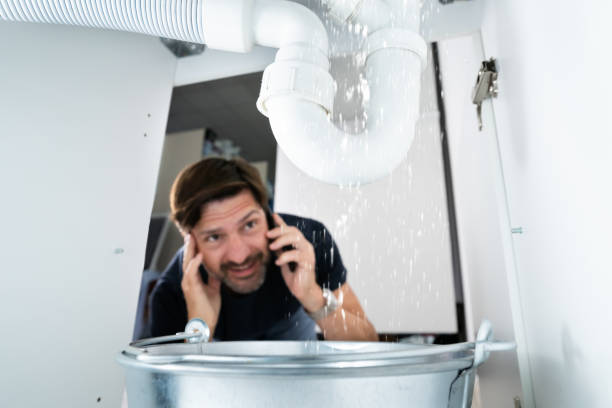 Best Emergency Plumber  in Buchanan, MI