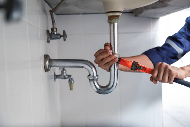 Best Septic Systems  in Buchanan, MI